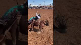 CAVALOS SELVAGENS  PARTE 03  RODEO HORSE shorts [upl. by Durand]