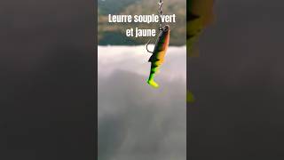 Leurre souple jaune et vert [upl. by Hermione]