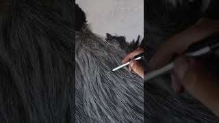 Drawing realistic fur using the indentation technique full tutorial on my channel realisticdrawing [upl. by Aney112]