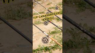 quotFiyatPerformans Canavarı 3 LRF Kamışıquot fishing carpfishing lrf youtubeshortsfishingtips [upl. by Payson]