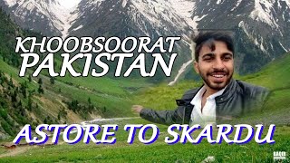 Astore to Skardu via Wild Deosai National Park  Road Trip  Ali Abbas Vlogs  Travel Vlog [upl. by Matheny]