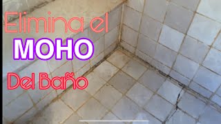 😱COMO LIMPIAR EL MOHOHONGOS DE LA DUCHA trucos para limpiar EL MOHO DE LOS AZULEJOS DEL BAÑO [upl. by Isleana]