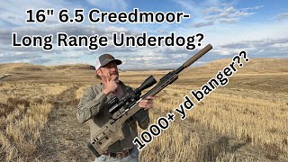 Shorty 65 Creedmoor 16” Real world performance [upl. by Artcele]