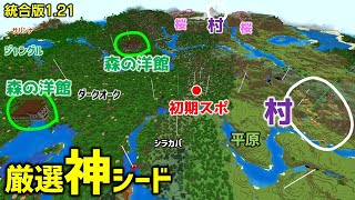 【マイクラ統合版121神シード】驚愕の初期スポ！かたっぱしから不死のトーテム！ネザーも紹介するよ。初心者もSwitchでも楽しめる！Ver12131 [upl. by Rubie]