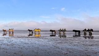 Cuxhaven Wattwanderung im Herbst Teil I [upl. by Anitsim]