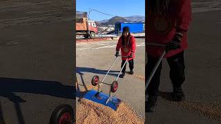 Assisted snow pusher  Happy rural harvest season  Learn agricultural techniquesviralvideo [upl. by Salta]