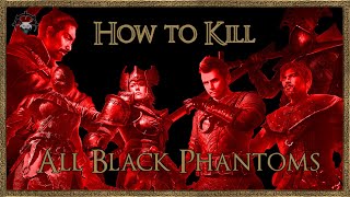 Demons Souls  How to kill all Black Phantoms  Easy Kill  Location [upl. by Chalmers]