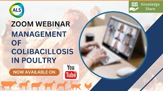 Webinar on quotManagement of COLIBACILLOSIS in Poultryquot [upl. by Fennelly]