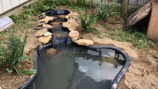 Remodeling the Outdoor Box Turtle Enclosure [upl. by Aguste]