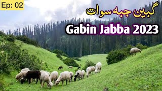 Gabin Jabba Swat 2023Gabin Jabb Latest UpdateGabin jabba toady [upl. by Sanford]