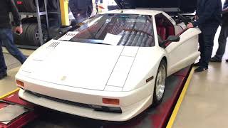 Cizeta Start Up and Revs  16 Cylinders Of Awesome [upl. by Leiuqese329]