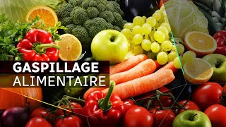 La lutte contre le gaspillage alimentaire à Montréal [upl. by Lateehs]