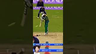 Hashim amla batting coverdrive [upl. by Ialokin268]