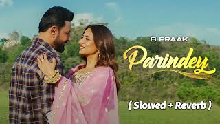 Parindey  B Praak  Latest Punjabi Songs 2024  Parindey B Praak Slowed And Reverb  Lofi Song [upl. by Aicilyhp]