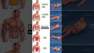 home core workout  abdominal exercises at home  sports viral [upl. by Cally]