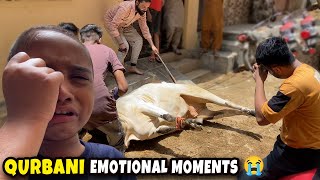 Qurbani Emotional Moment 😭 Eid Ul Adha Emotional Video ❤️ Fahad Bhai Official [upl. by Ecirtac]