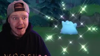 7 SHINY Ditto Via Pokeradar  Pokemon Brilliant Diamond Shining Pearl [upl. by Vander]