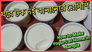 ঘরে টক দই বানানোর রেসিপি  How to Make Yogurt at Home in Bangla [upl. by Georgetta]