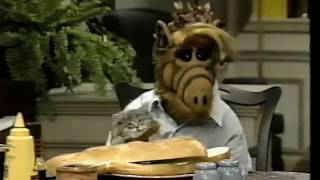 Alf Questions Eating Cats [upl. by Lazos]