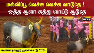 மல்லிப்பூ வெச்சு வெச்சு வாடுதே   சுத்து போட்டு ஆடுதே  Kattapa Kalai  Alanganallur Jallikattu [upl. by Berns]