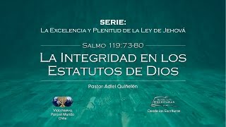 10  La Integridad en los Estatutos de Dios  Salmo 1197380 [upl. by Chevy792]