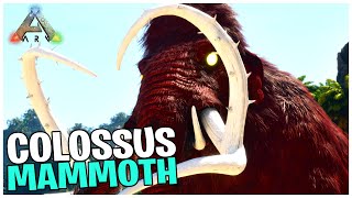 SETiNGGi GUNUNG TAMiNG ALPHA COLOSSUS MAMMOTH GA ADA OBAT GEDENYA  Ark Ascended  Primal Nemesis [upl. by Nosle]