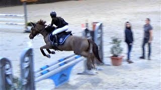 ■ 03112019 Tournée des As Le Mans  Poney Elite  Nielands Joris  CSO Clara Maitre [upl. by Anauqed]