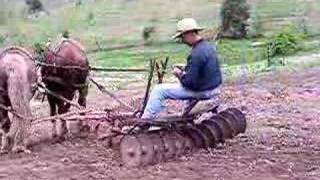 Disc Harrowing with Draft Horses in Kentucky [upl. by Nagol]