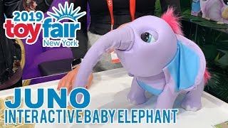 JUNO Interactive Baby Elephant at Toy Fair 2019 [upl. by Latihs771]