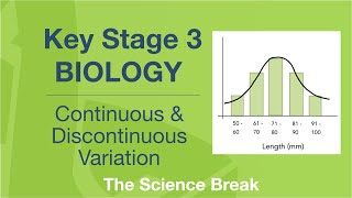 Key Stage 3 Science Biology  Continuous and Discontinuous Variation [upl. by Lirrad310]