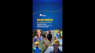 Día Mundial del Agua  Iniciativas Gerdau [upl. by Fabria]