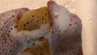 ASMR  Super Soapy Sponge Squeezing [upl. by Meg]