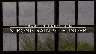 Strong Rain amp Thunder Sounds for Sleeping  Windy Rain on a Window  1 hour Thunderstorm  Rain ASMR [upl. by Netloc588]