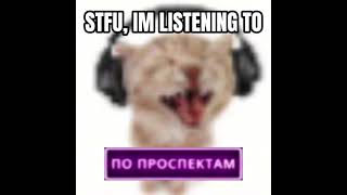 stfu im listening to по проспектам [upl. by Donelson]