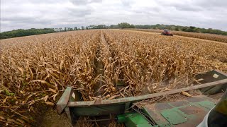 Corn Harvest Commences  Corn Stalks Bush Hogged [upl. by Northey]