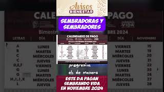 Calendario de pagos de sembrando vida en noviembre sembradoras y sembradores [upl. by Thanasi]