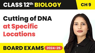 Cutting of DNA at Specific Locations  Class 12 Biology Chapter 9  CBSE 202425 [upl. by Hera]