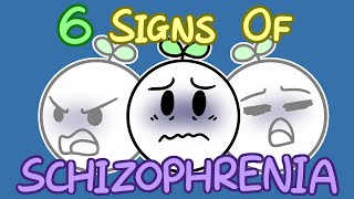 6 Signs Of Schizophrenia [upl. by Airotcivairam]