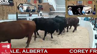 2024 Calgary Stampede International Livestock Auctioneer Championship [upl. by Octavus]