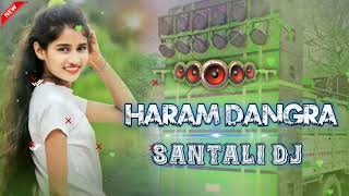 HARAM DANGRA  NEW SANTALI VIDEO SONG HARAM DANGRA DJ Song 2024 [upl. by Llerraj]