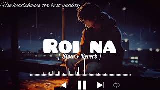 Roi Na Lofi song  SlowedReverb   ninja ‎LOFIMusic0304 [upl. by Delcina]