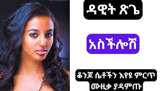 Aschilosh dawit tsegie  Best ethiopian amharic music [upl. by Peh141]