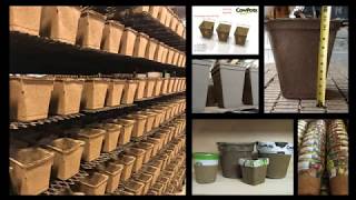 From plop to pot Making CowPots [upl. by Ailahtan943]