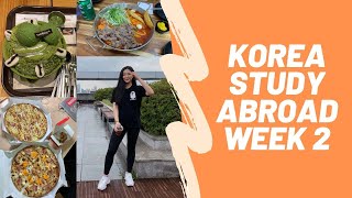 Yonsei University Korea Study Abroad  Week 2 [upl. by Aikyn]