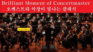 악장 솔로가 아름다운 클래식🎻Classic with Beautiful Concertmasters Solo🧡Scheherazade Swan Lake Ein Heldenleben [upl. by Ameekahs]