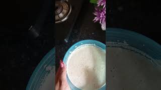 Fully veggie loded dosa 🤤shorts viral trending food gaurikitchenn [upl. by Stanwinn469]