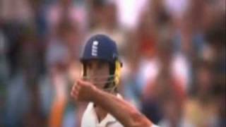 Cricket Super Slow motion Push On version [upl. by Iruahs989]