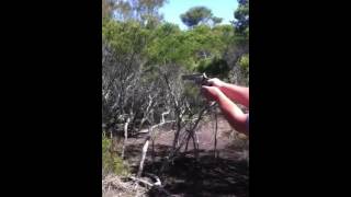 Having fun in kinkuna national park near coonarr beach bundaberg with my ruger redhawk [upl. by Asemaj]