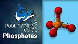 A Pool Owners Guide to Phosphates [upl. by Trainor]