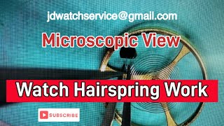 Micro Watch Hairspring Work [upl. by Reiche]